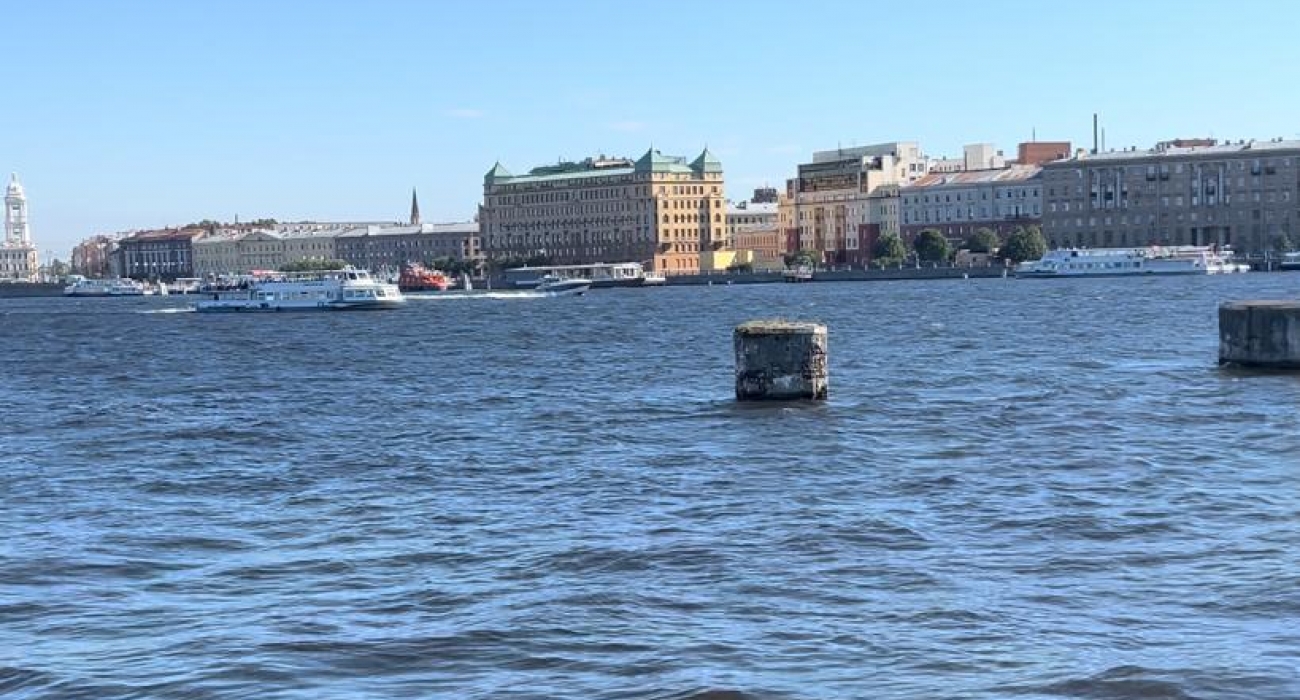 видовые квартиры на Петроградке